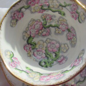 Royal Albert England May Blossom Tea Cup and Saucer HPT Blossoms Bone China R322
